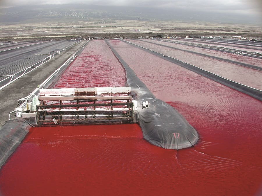 Riesiges Becken mit von Algen rot gefärbtem Wasser
