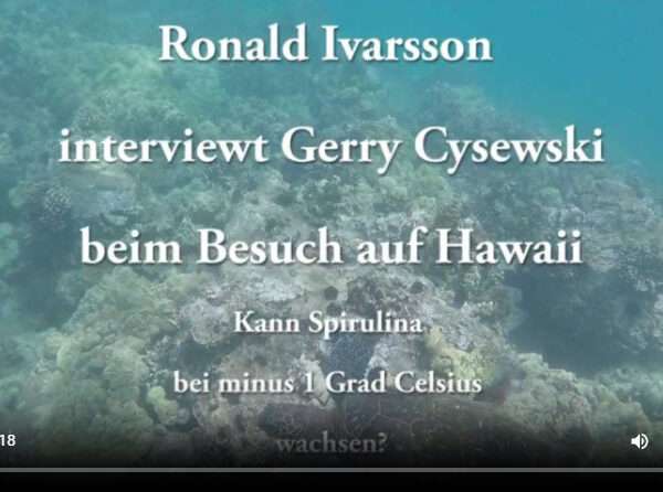 Interview Gerry Gysewski